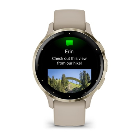 Garmin VENU 3S цвета "французский серый" с золотистым безелем Garmin VENU 3S цвета "французский серый" с золотистым безелем