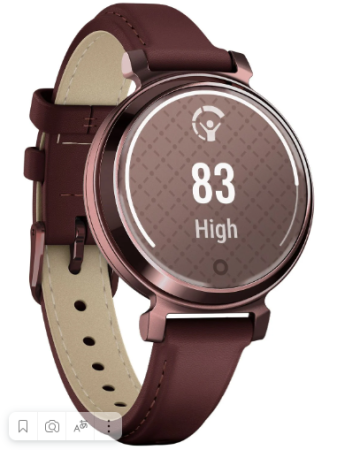 Garmin LILY 2 Classic Mulberry / темно-бронзовый