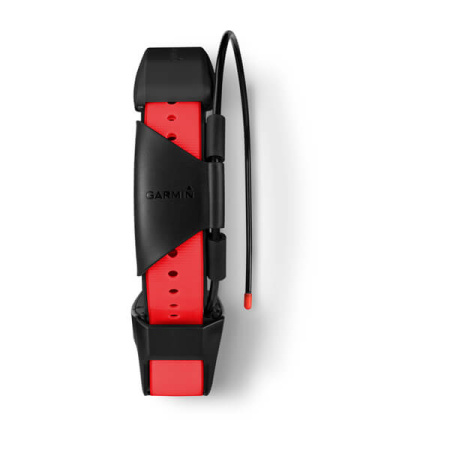Garmin  TT 15X собачий ошейник Garmin  TT 15X собачий ошейник