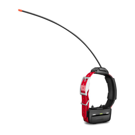 Garmin  TT 15X собачий ошейник Garmin  TT 15X собачий ошейник