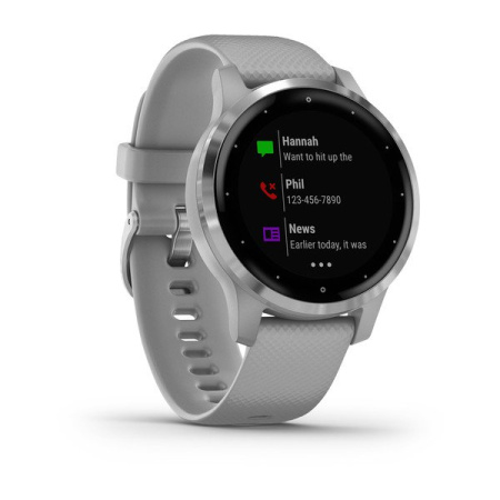 Garmin VIVOACTIVE 4S серые с серебристым безелем