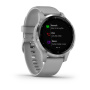 Garmin VIVOACTIVE 4S серые с серебристым безелем