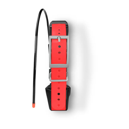 Garmin  TT 15X собачий ошейник Garmin  TT 15X собачий ошейник